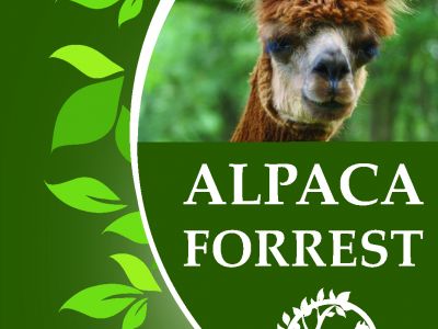 Alpaca Meet & Greet