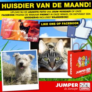 Huisdier van de maand actie