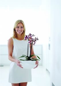 Orchideeën Dokter bij De Biezen