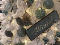 Kerstshow 2019
